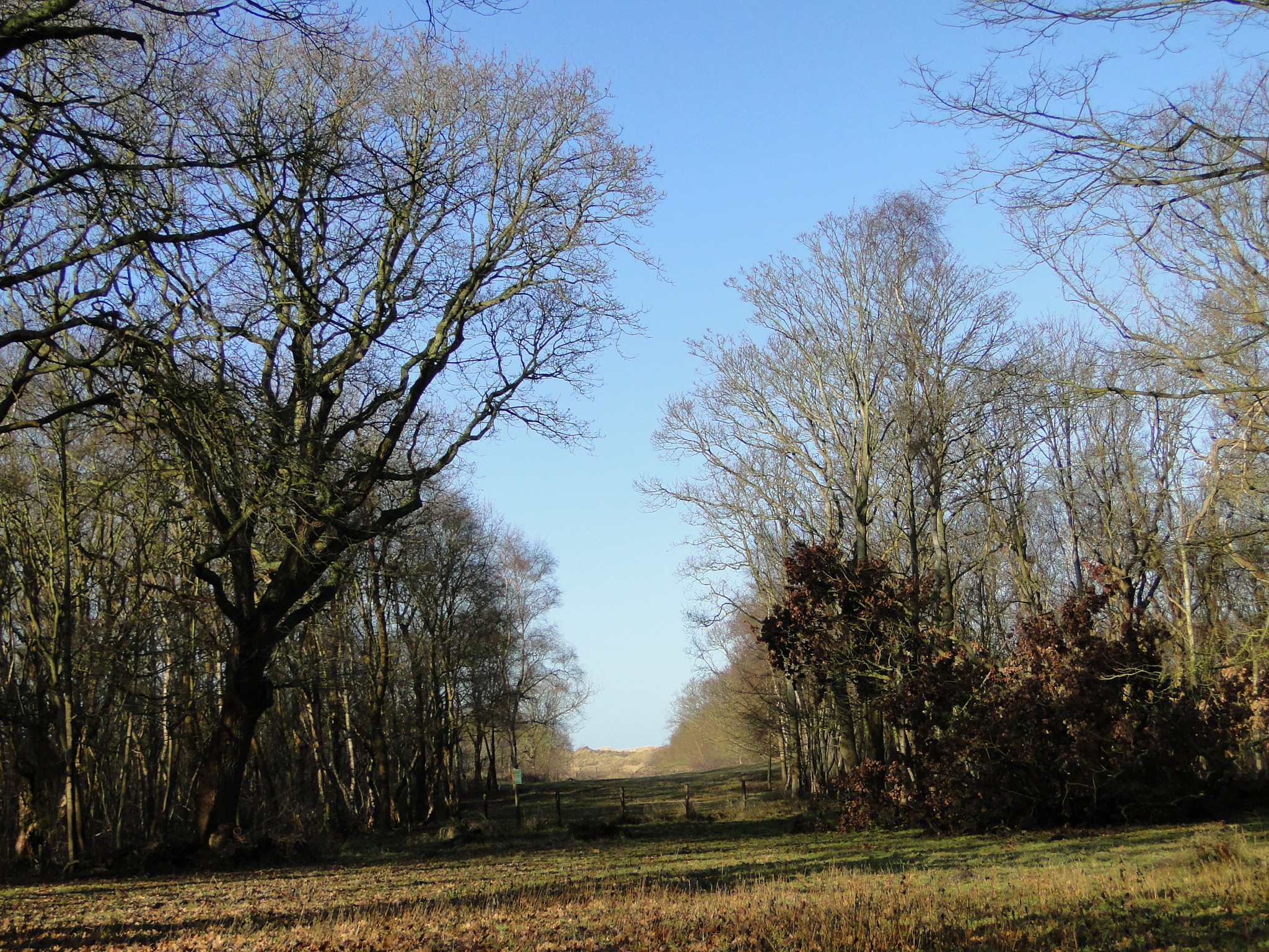 NWK 2010 189.jpg